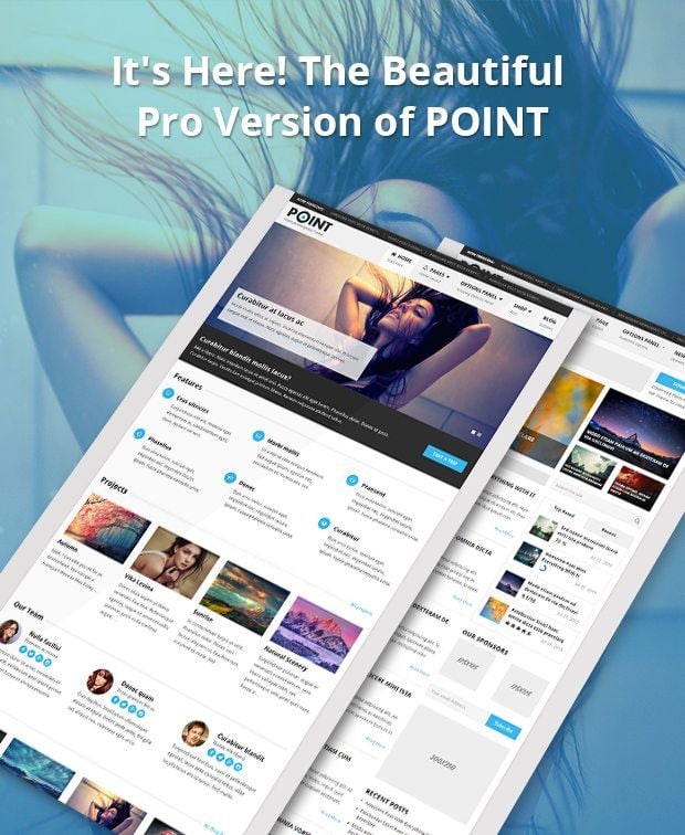 PointPro-Responsive.jpg